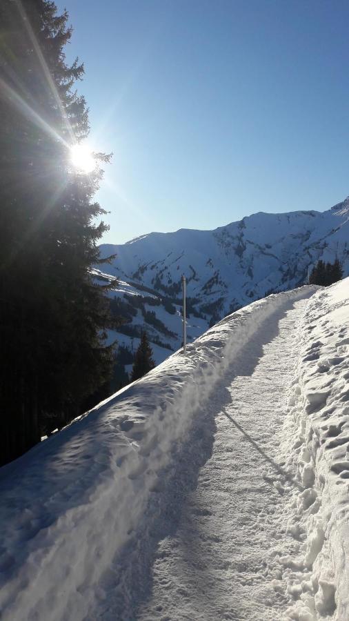 Chalet Allmegrat Adelboden Kültér fotó