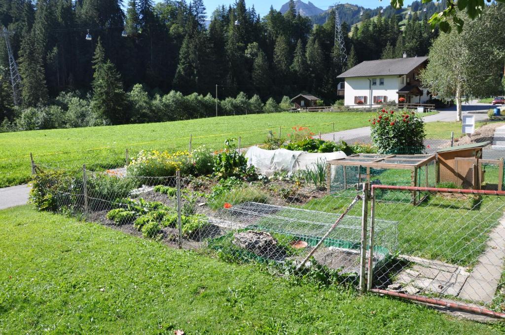 Chalet Allmegrat Adelboden Kültér fotó